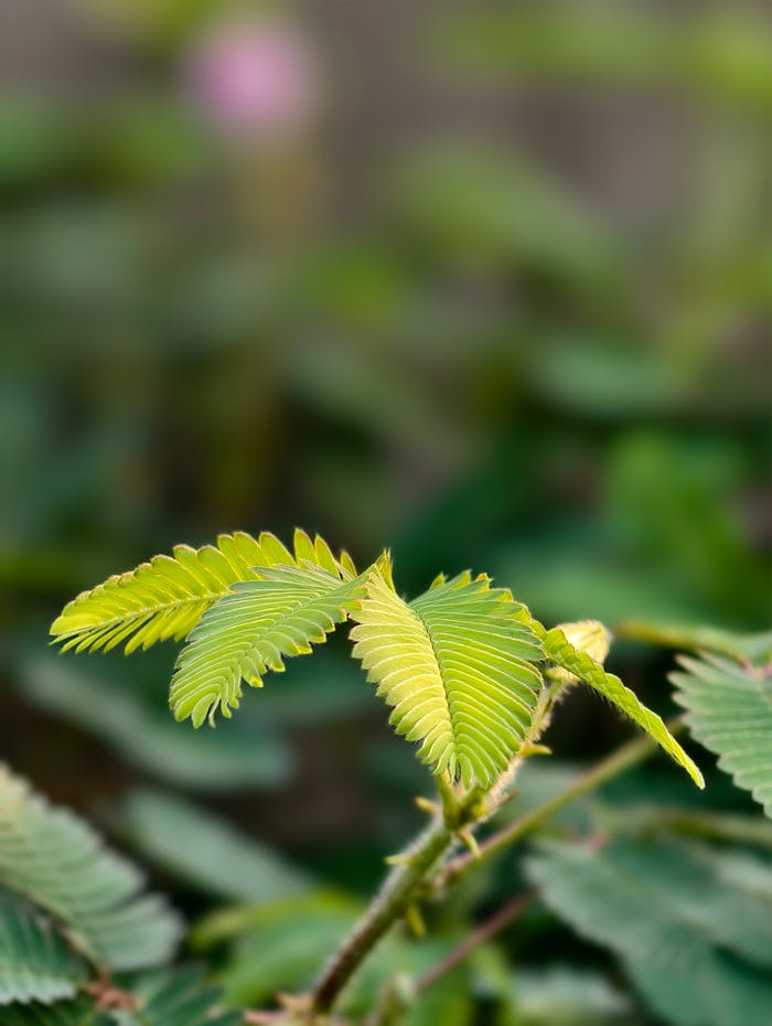 Pexels Photo 31964937