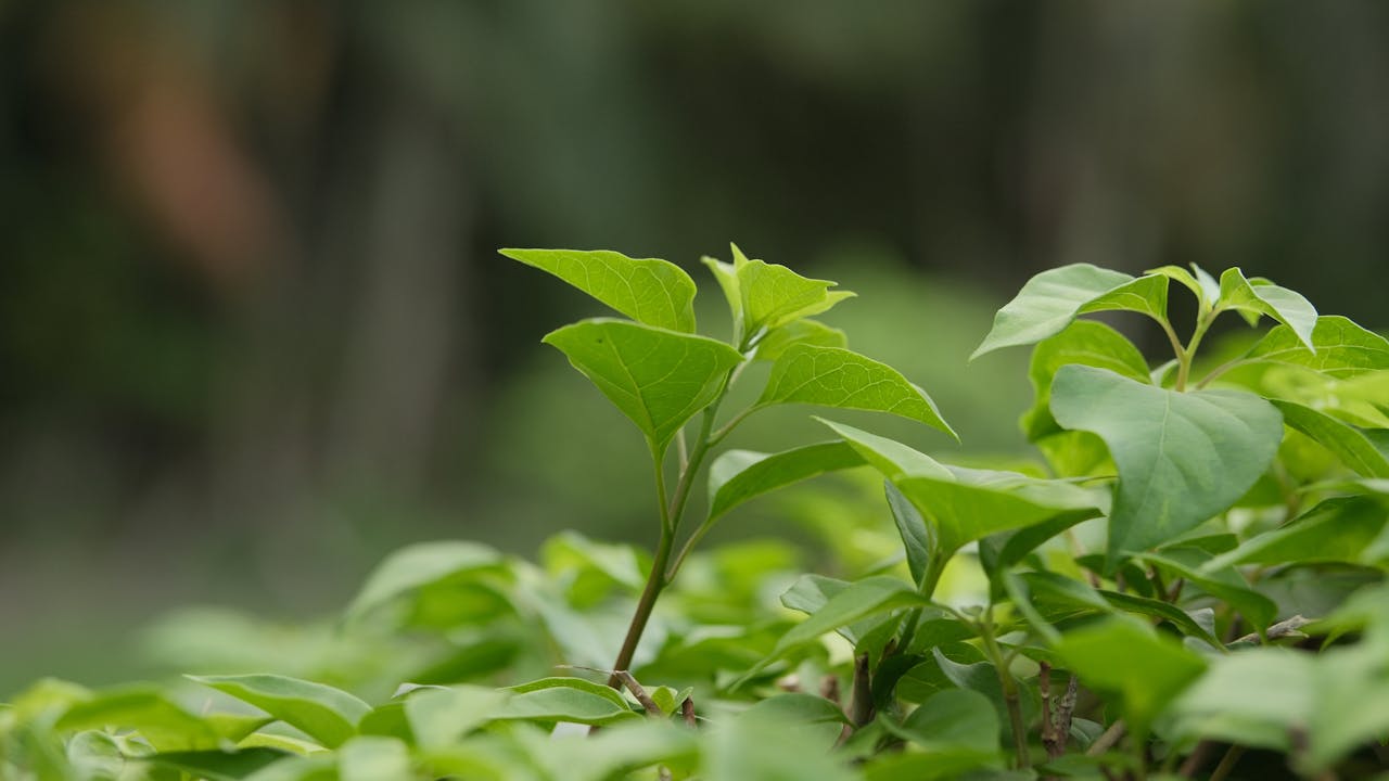 Pexels Photo 34923650